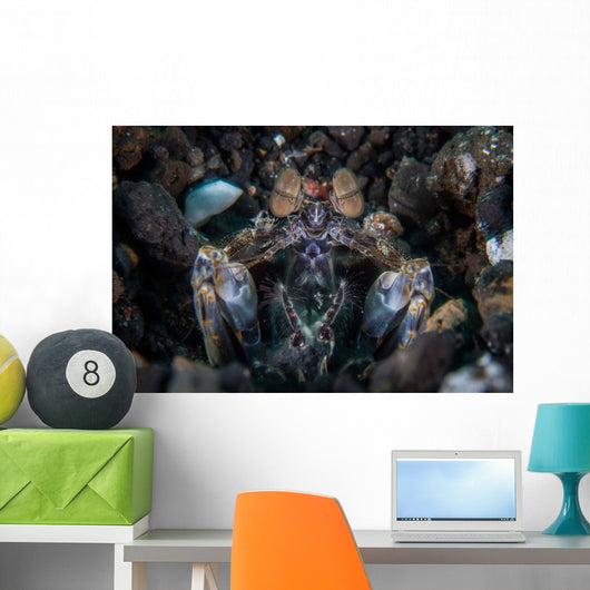 Large Mantis Shrimp Waits Wall Decal