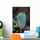 Colorful Tunicate Grows Reef Wall Decal