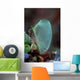 Colorful Tunicate Grows Reef Wall Decal