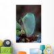 Colorful Tunicate Grows Reef Wall Decal