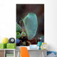 Colorful Tunicate Grows Reef Wall Decal