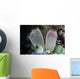 Pair Tunicates Grow Reef Wall Decal