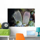 Pair Tunicates Grow Reef Wall Decal