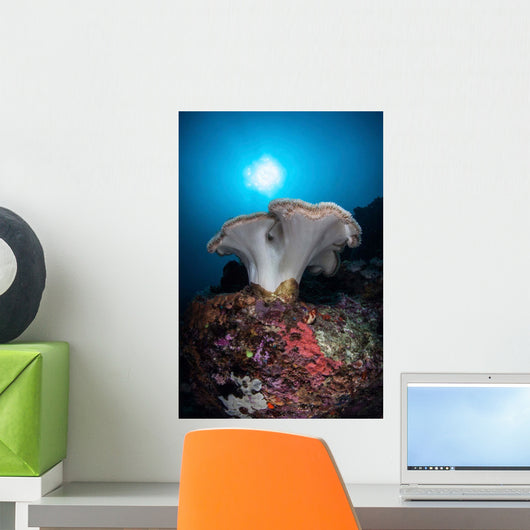 Soft Coral Colony Grows Wall Decal Design 7