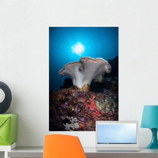Soft Coral Colony Grows Wall Decal Design 7