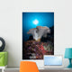 Soft Coral Colony Grows Wall Decal Design 7