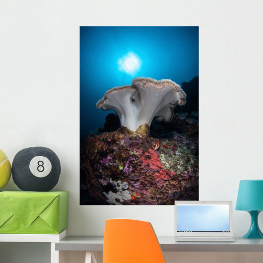 Soft Coral Colony Grows Wall Decal Design 7