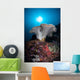 Soft Coral Colony Grows Wall Decal Design 7