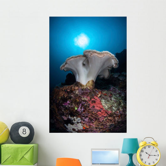 Soft Coral Colony Grows Wall Decal Design 7
