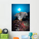 Soft Coral Colony Grows Wall Decal Design 7