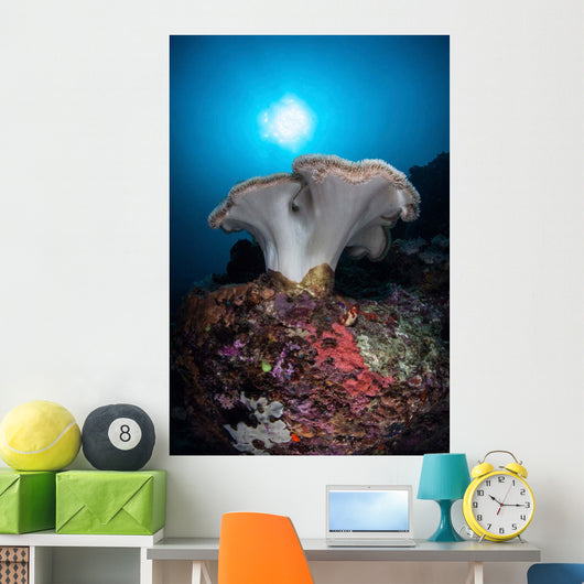 Soft Coral Colony Grows Wall Decal Design 7