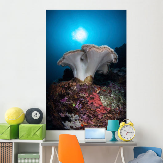 Soft Coral Colony Grows Wall Decal Design 7