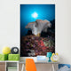 Soft Coral Colony Grows Wall Decal Design 7