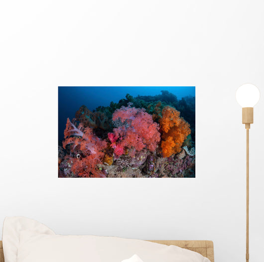 Vibrant Soft Coral Colonies Wall Decal Design 4