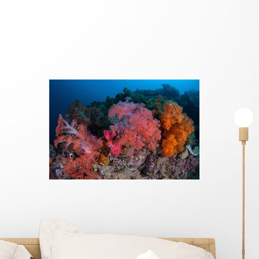 Vibrant Soft Coral Colonies Wall Decal Design 4