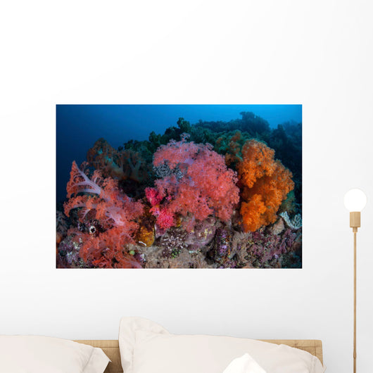 Vibrant Soft Coral Colonies Wall Decal Design 4