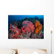 Vibrant Soft Coral Colonies Wall Decal Design 4