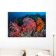 Vibrant Soft Coral Colonies Wall Decal Design 4