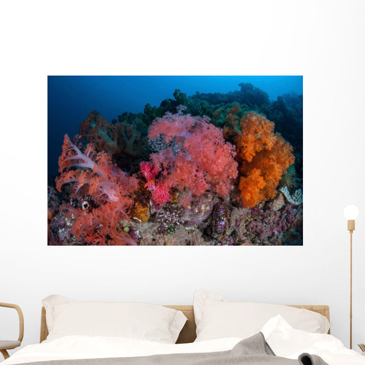 Vibrant Soft Coral Colonies Wall Decal Design 4