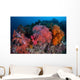 Vibrant Soft Coral Colonies Wall Decal Design 4