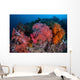 Vibrant Soft Coral Colonies Wall Decal Design 4