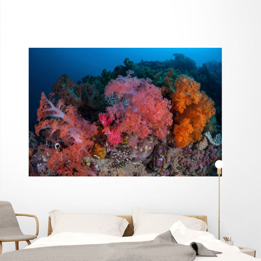 Vibrant Soft Coral Colonies Wall Decal Design 4