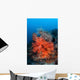 Vibrant Soft Coral Colonies Wall Decal Design 3
