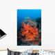 Vibrant Soft Coral Colonies Wall Decal Design 3