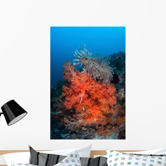 Vibrant Soft Coral Colonies Wall Decal Design 3