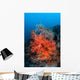 Vibrant Soft Coral Colonies Wall Decal Design 3