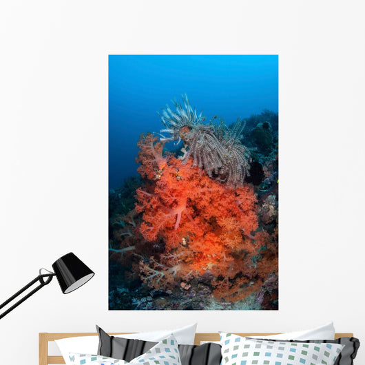 Vibrant Soft Coral Colonies Wall Decal Design 3