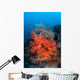 Vibrant Soft Coral Colonies Wall Decal Design 3