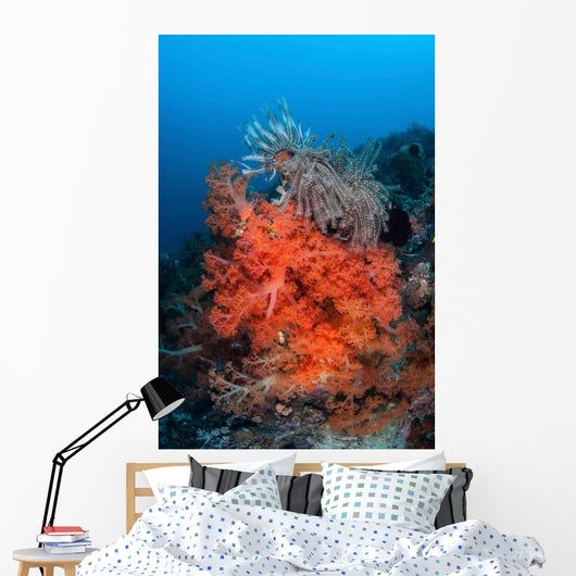 Vibrant Soft Coral Colonies Wall Decal Design 3