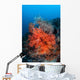 Vibrant Soft Coral Colonies Wall Decal Design 3
