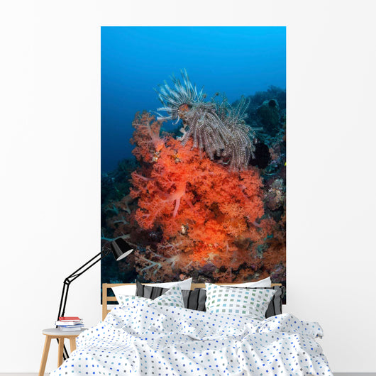 Vibrant Soft Coral Colonies Wall Decal Design 3