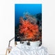 Vibrant Soft Coral Colonies Wall Decal Design 3