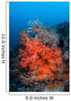 Vibrant Soft Coral Colonies Wall Decal Design 3