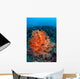 Vibrant Soft Coral Colonies Wall Decal Design 2