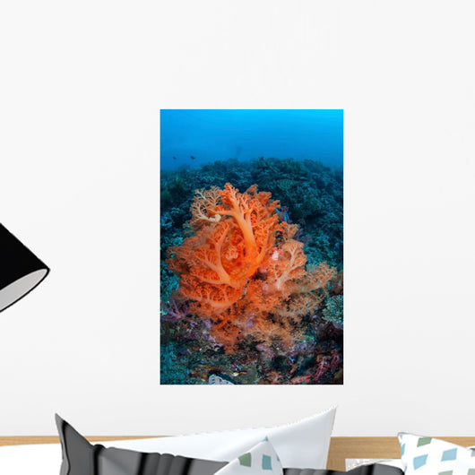 Vibrant Soft Coral Colonies Wall Decal Design 2