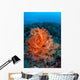 Vibrant Soft Coral Colonies Wall Decal Design 2