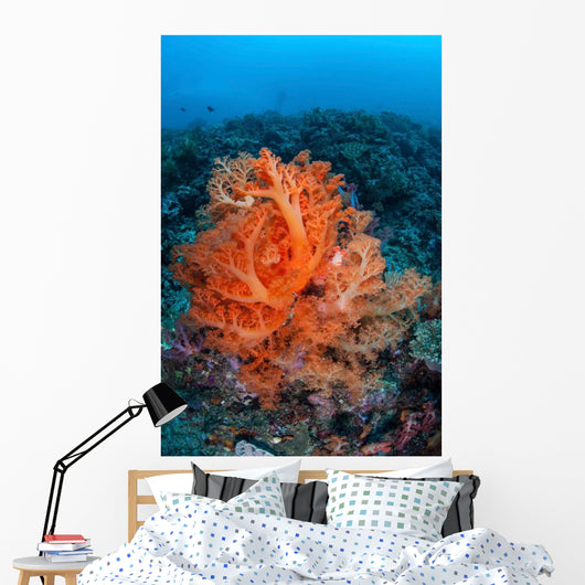 Vibrant Soft Coral Colonies Wall Decal Design 2