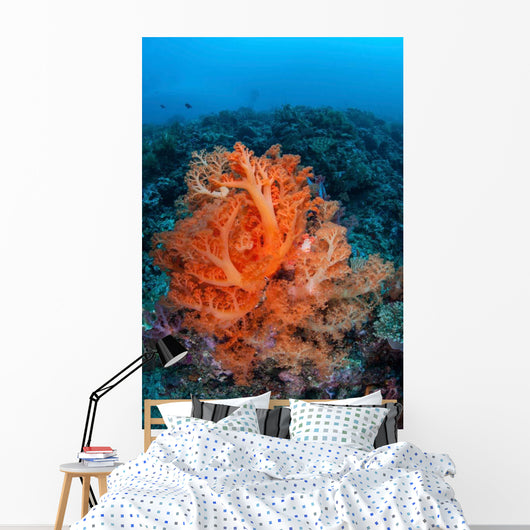 Vibrant Soft Coral Colonies Wall Decal Design 2