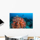Vibrant Soft Coral Colonies Wall Decal Design 1