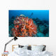 Vibrant Soft Coral Colonies Wall Decal Design 1
