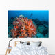 Vibrant Soft Coral Colonies Wall Decal Design 1