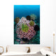 Large Barrel Sponge Covered Wall Decal