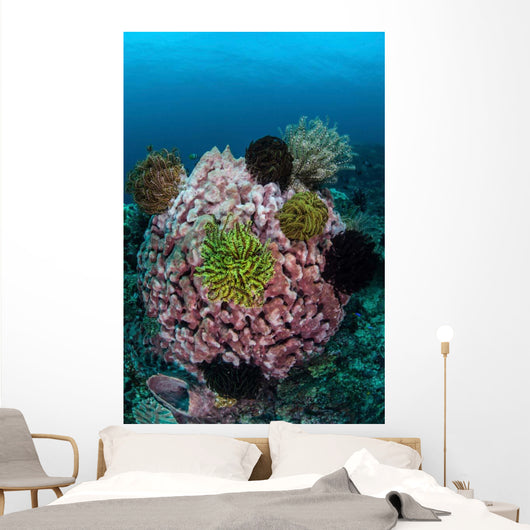 Large Barrel Sponge Covered Wall Decal
