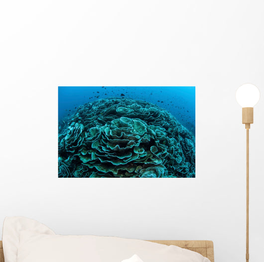 Corals Are Beginning to Wall Decal Design 5