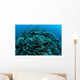 Corals Are Beginning to Wall Decal Design 5