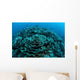 Corals Are Beginning to Wall Decal Design 5